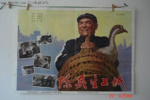 怎么办假波兰驾照